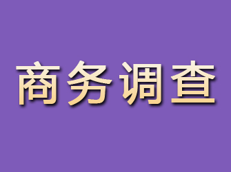 江洲商务调查